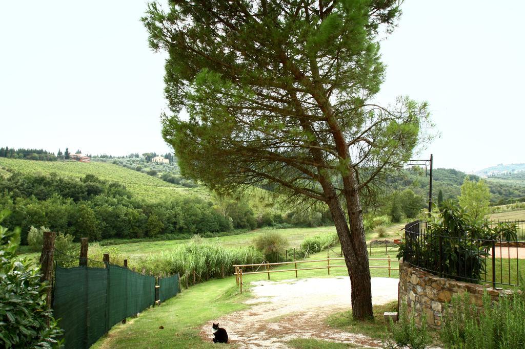 La Gufaia - Holiday House With Private Pool Near Florence Карминьяно Экстерьер фото